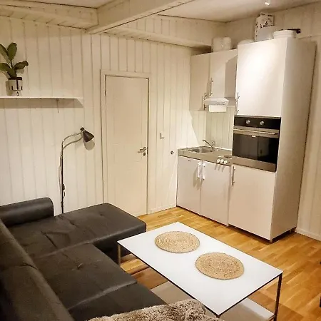 公寓 With Own Bedroom 特罗姆瑟